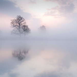 亚洲精品无码一级毛片乌克兰
